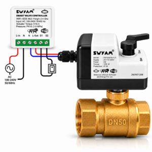Swyam Smart brass valve DN50