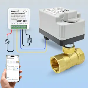 Smart swyam brass valve